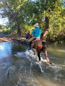 Costa Rica-Guanacaste-Costa Rica Silver Saddles Tour